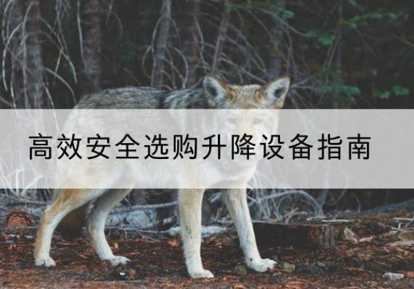 龙岗升降货梯厂家推荐-*安全选购升降设备指南