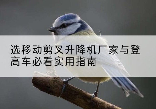 龙岗电动升降机厂家-选移动剪叉升降机厂家与登高车必看实用指南